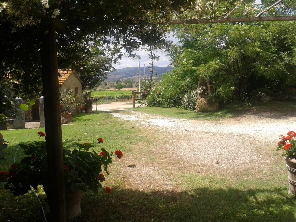 Poggio Dell'Olivo Villa Pitigliano Exteriör bild