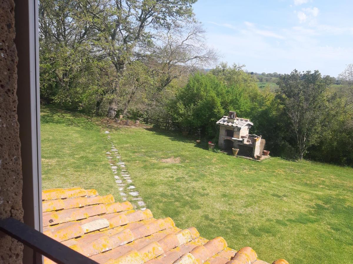 Poggio Dell'Olivo Villa Pitigliano Exteriör bild