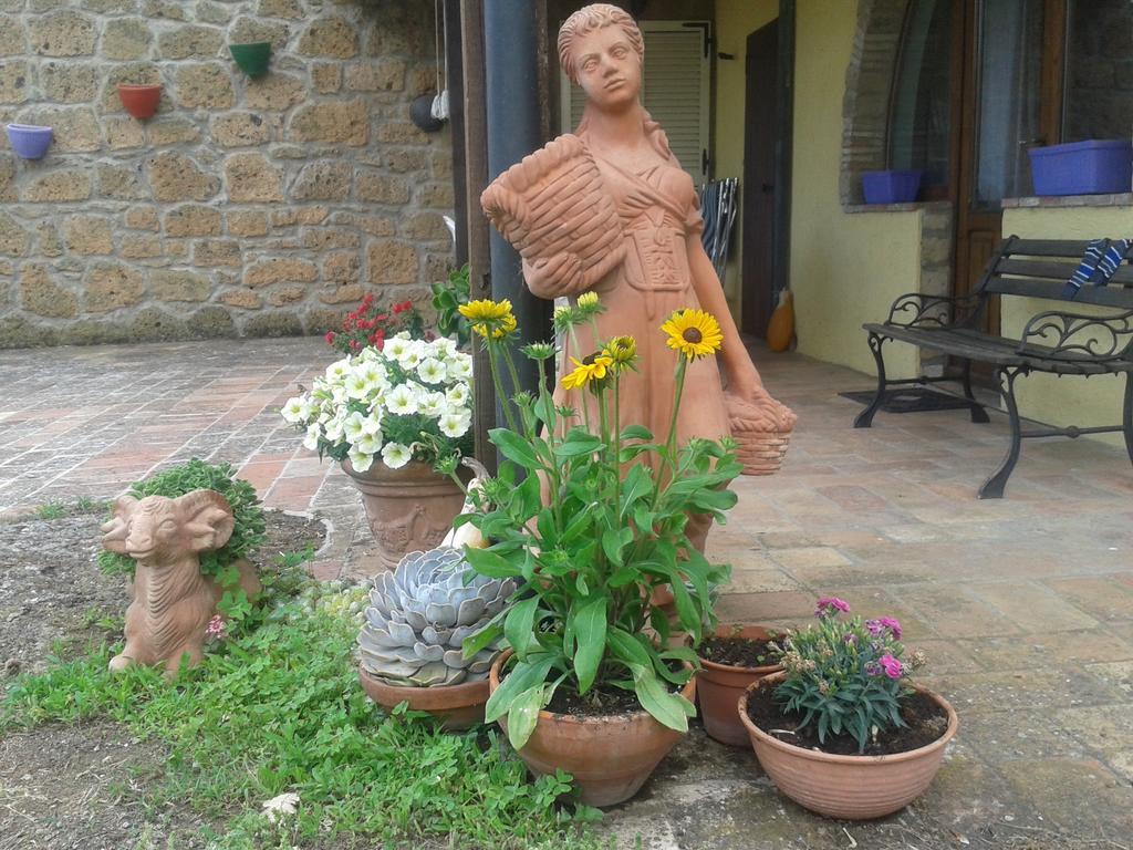 Poggio Dell'Olivo Villa Pitigliano Exteriör bild