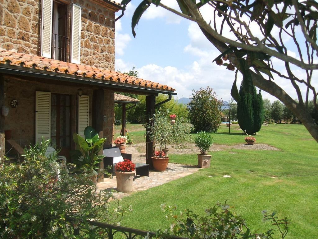 Poggio Dell'Olivo Villa Pitigliano Rum bild