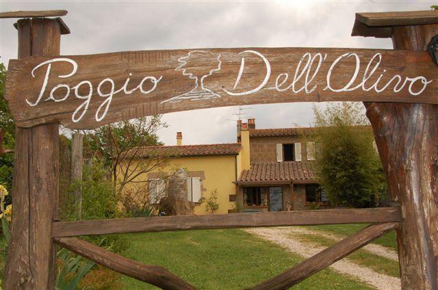 Poggio Dell'Olivo Villa Pitigliano Exteriör bild