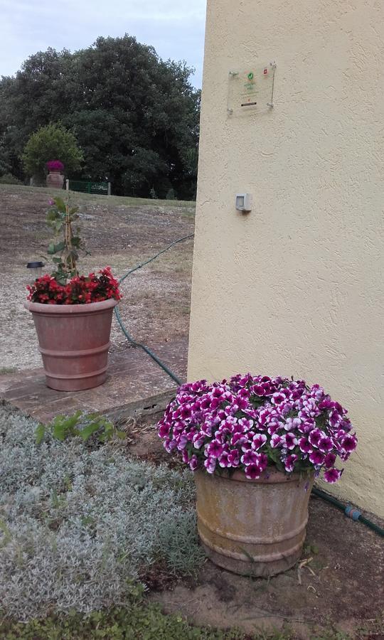 Poggio Dell'Olivo Villa Pitigliano Exteriör bild